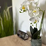 Festival Centar * Σαράγεβο