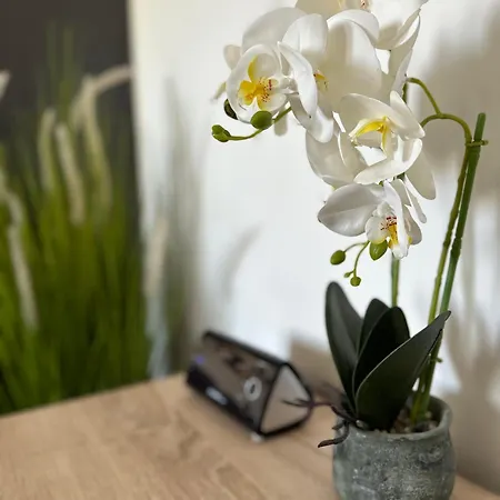 Festival Centar * 사라예보